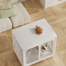 TL-4 Medium Transparent Pet Crate