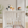 TL-4 Medium Transparent Pet Crate