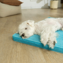 Cloud Style Pet Mat